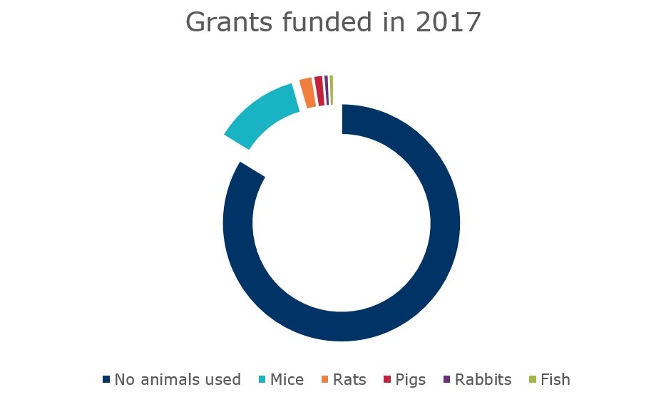 Animals in research – 2017 grants | The Academy of Medical Sciences