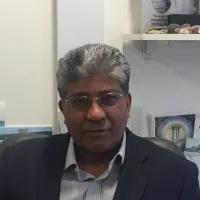 Arne N Akbar