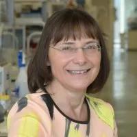 Karen Vousden