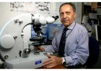 Lucio Luzzatto