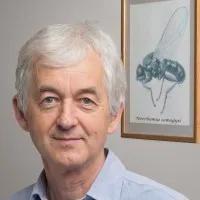 Peter Somogyi